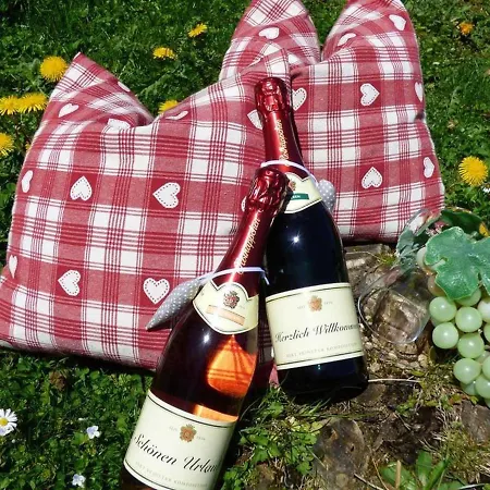 Apartamento Haus Am Hochwald *
